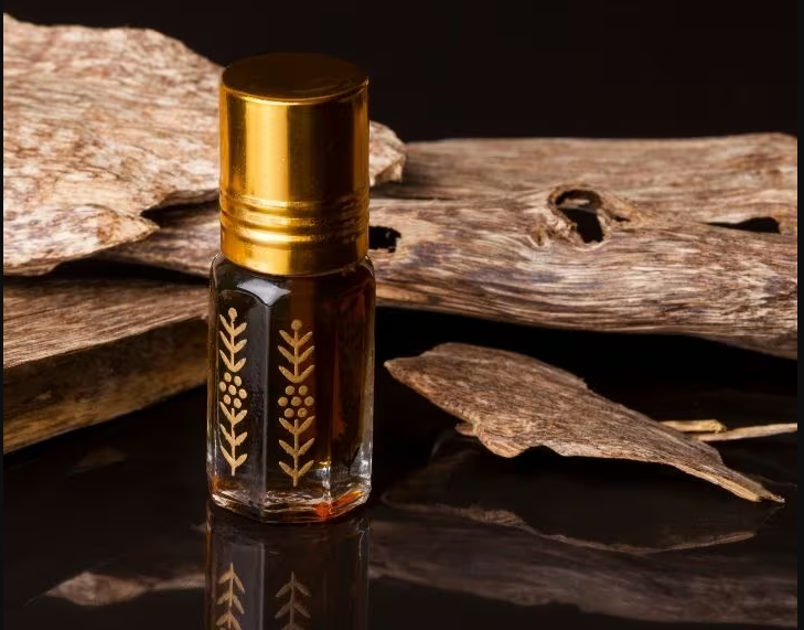 Oud and History: Tracing Roots of Arabian Fragrance with Oud Perfume ...